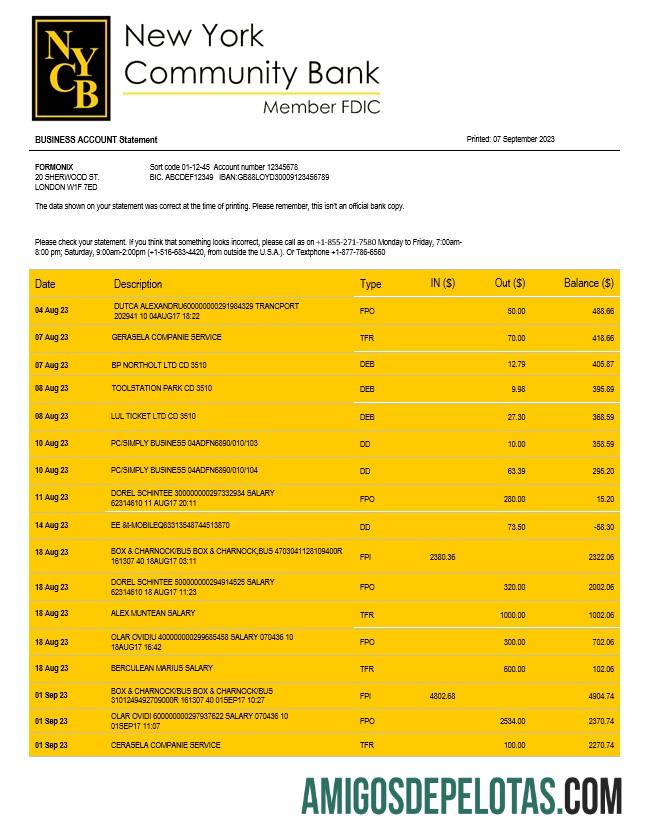 Em branco New York Community Bancorp Enterprise modelo de extrato de conta Word e PDF